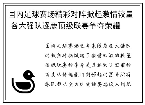 国内足球赛场精彩对阵掀起激情较量 各大强队逐鹿顶级联赛争夺荣耀